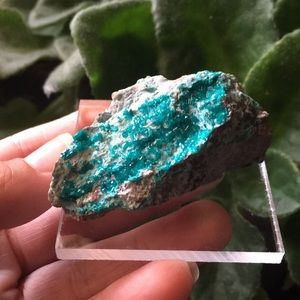 Dioptase specimen